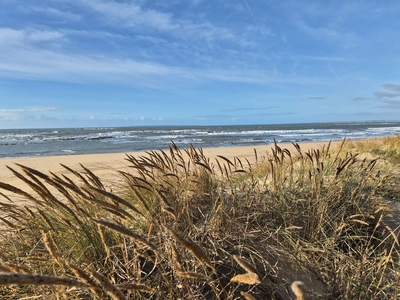 Dunes et plage sauvage aux abords de la Ria d'Étel