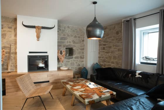 Salon cosy avec cheminée à insert et pierres apparentes